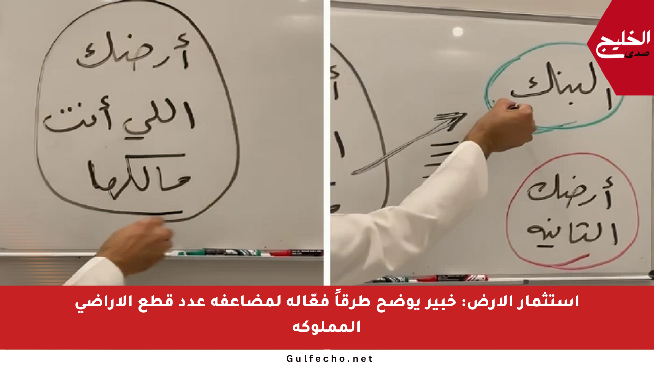استثمار الأرض: خبير يوضح طرقاً فعّالة لمضاعفة عدد قطع الأراضي المملوكة